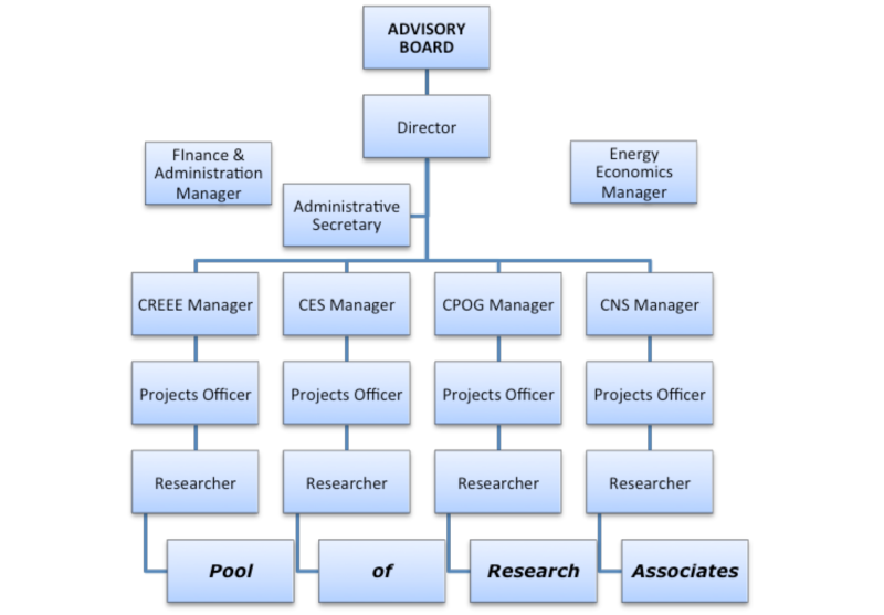 NEI Organisational Structure organogram